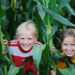 Kinder im Mais