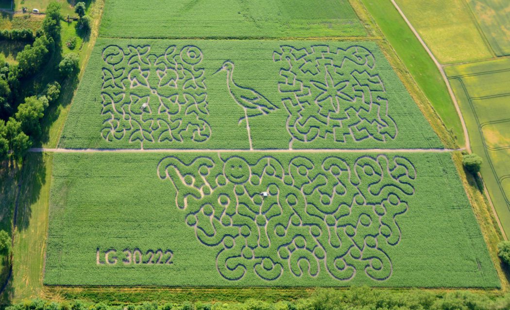 Irrgarten-Anleitung - Labyrinth im Mais